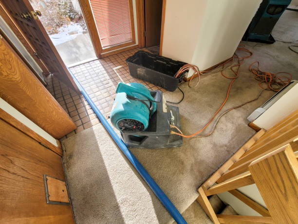 Best Water damage restoration near me  in Rockwell, NC