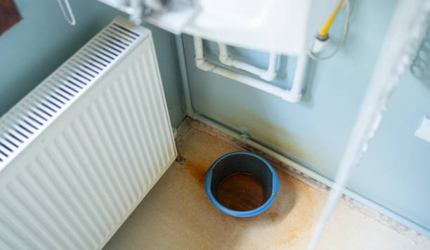 Best Flood damage cleanup  in Rockwell, NC