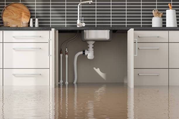 Best Commercial water damage restoration  in Rockwell, NC